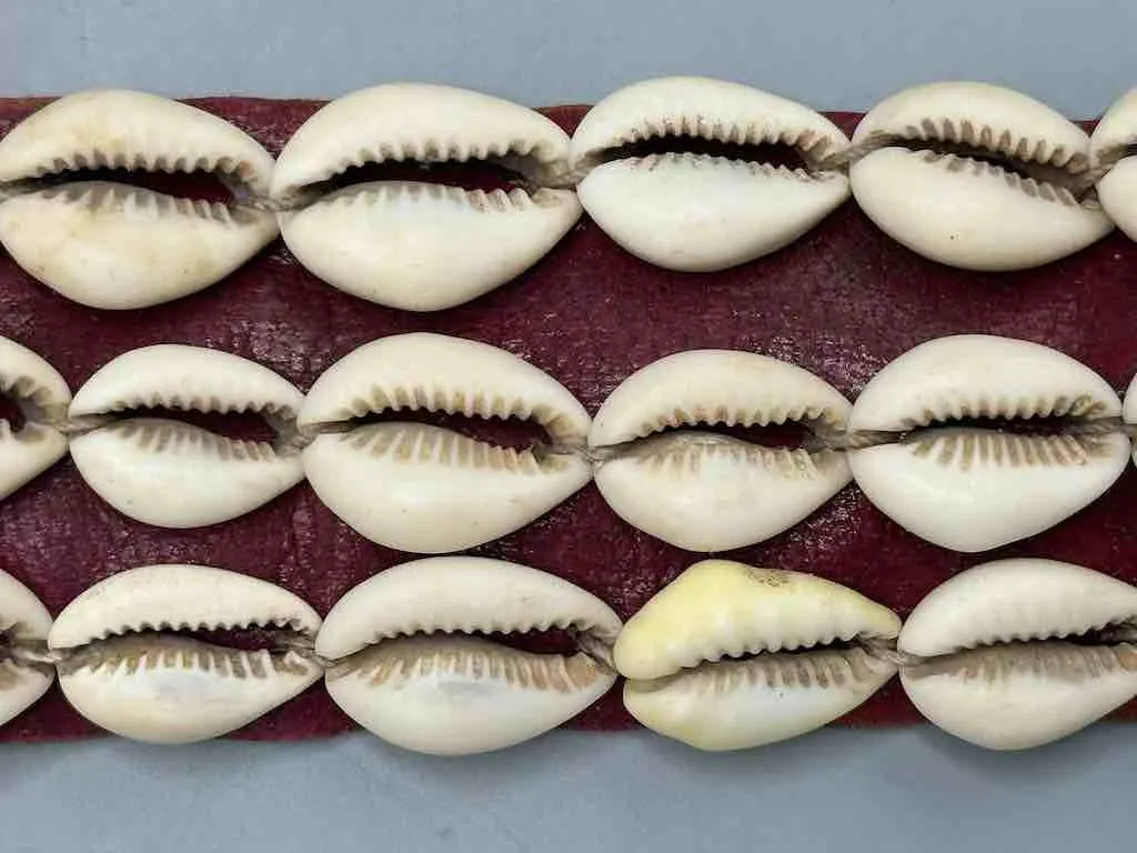 African Cultural Very High Quality Wide Real Cowrie Shell-Leather Tie Closure Belt - 4 Colors