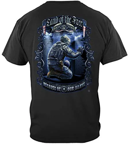 Double Flag Eagle Pow T Shirt